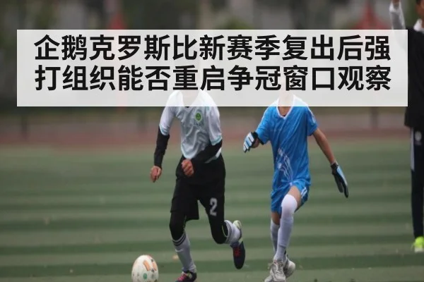企鹅克罗斯比新赛季复出后强打组织能否重启争冠窗口观察